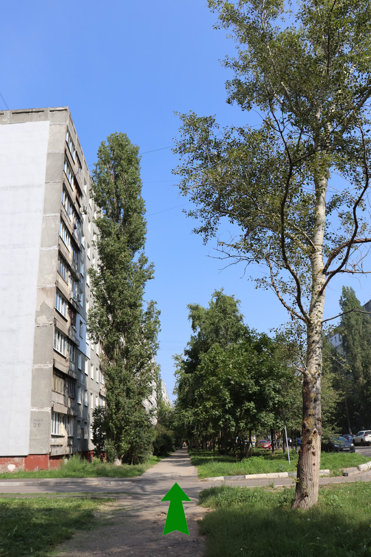 ������ ��������. ����. ������� ��� - ��������� ������� 5