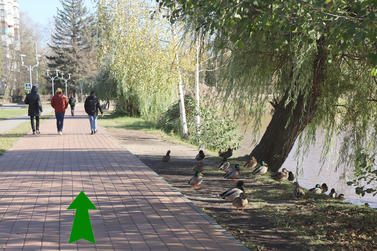 ������ ��������. ����. �������� �� ��������� �������, ����������