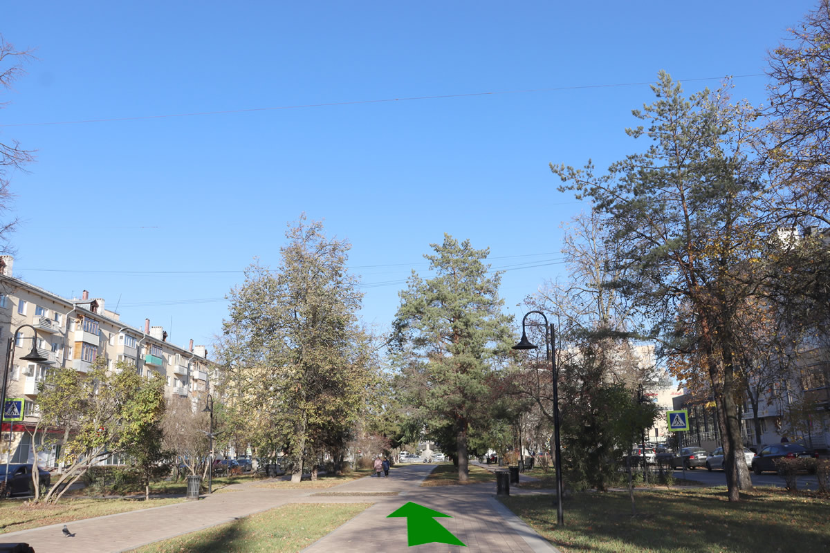 ������ ��������. ����. �������� �� ��������� 8 �� ���������� 162�