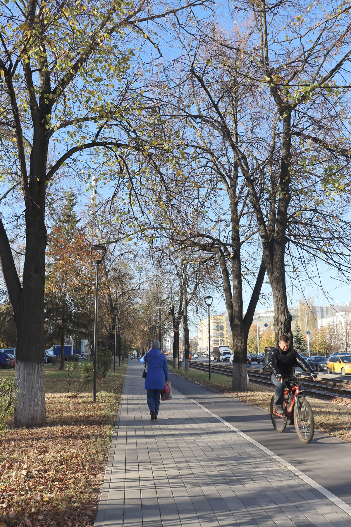 ������ ��������. ����. �������� �� ����������� 162� �� ������� ���